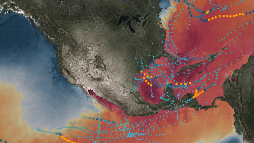 Call for Code: National Hurricane Preparedness Week