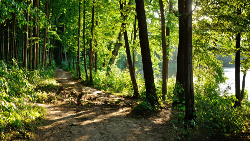 The Infrastructure Bill’s Impacts on Environmental Professionals