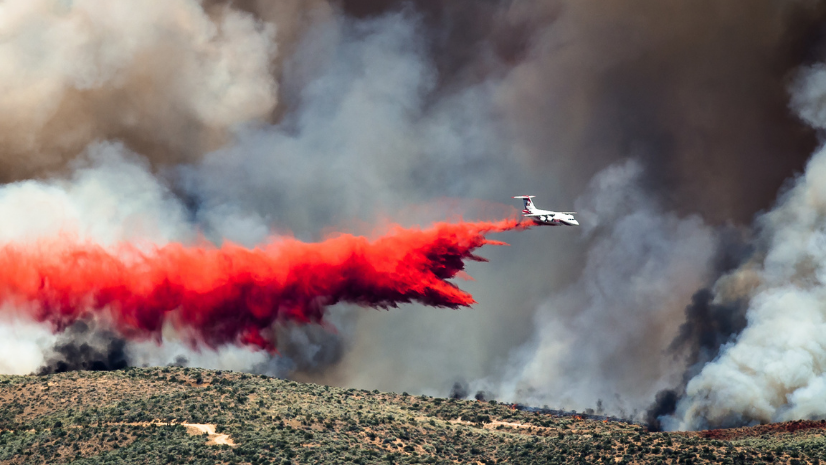 A Holistic Approach to Managing Wildland Fire Risk with ArcGIS