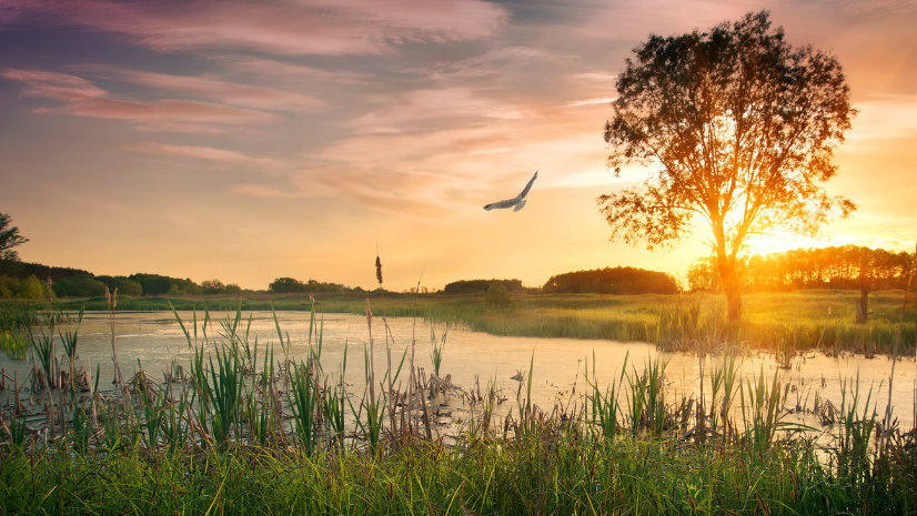 Small Actions, Big Impacts: Earth Day 2022