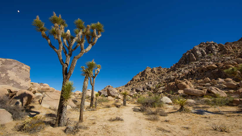 Resilience and Sustainability, the definitions, difference, and applicability of GIS