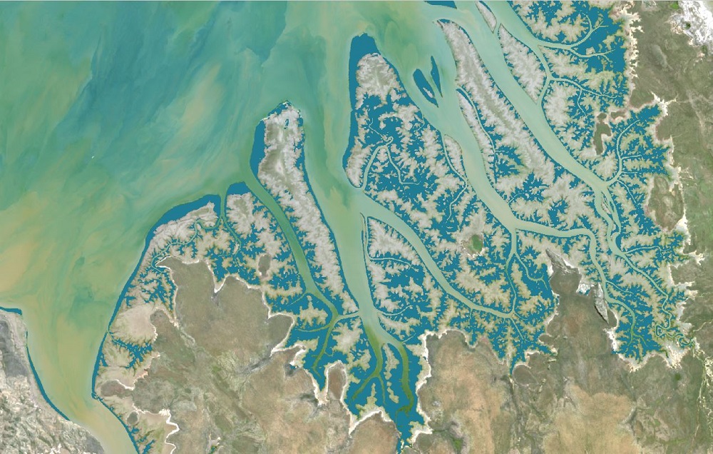 Introducing Pretrained Deep Learning Models for Energy