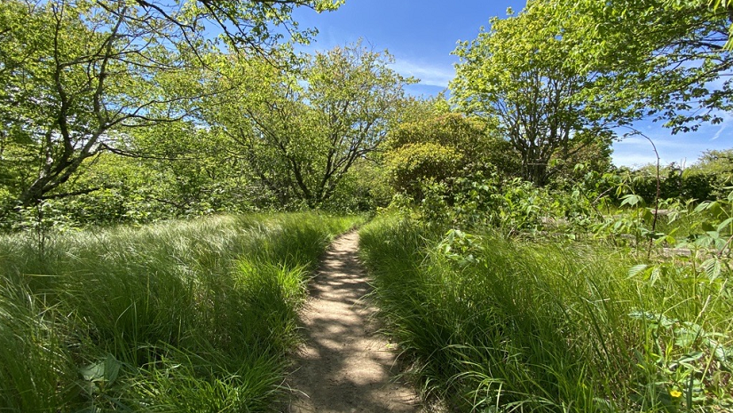 Finding a Pathway to Federal Funding