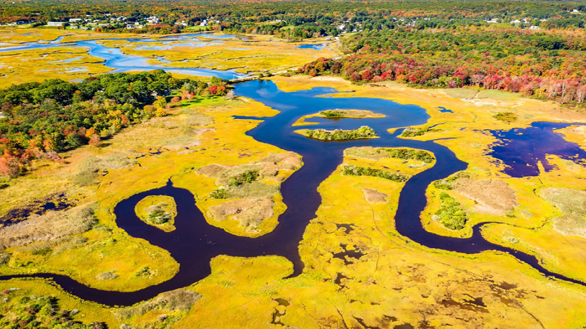 Delineating the Future of Wetlands: How states and local governments use GIS to support wetland related workflows