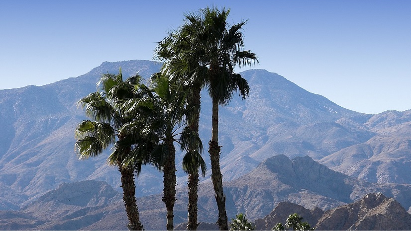 2023 Esri Infrastructure Management & GIS Conference