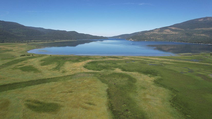 Swan River National Wildlife Refuge Wetland Restoration Project