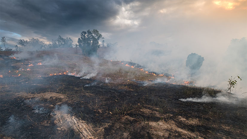 GIS and Artificial Intelligence for Precise Damage Assessments