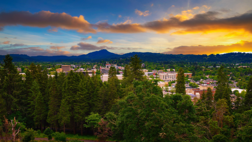 Revolutionizing Connectivity: How Emerald Broadband Empowers Communities with Esri and 3-GIS