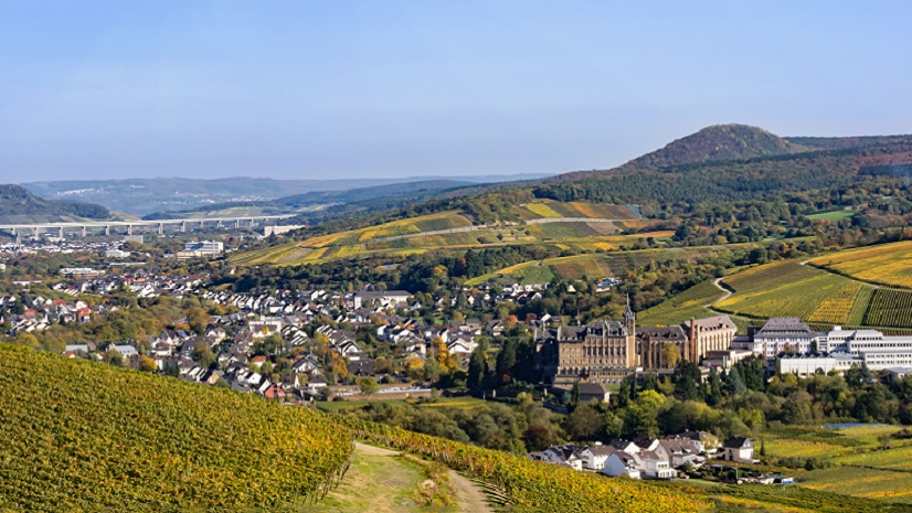 Building a Digital Twin of the Ahr Valley Flood Zone