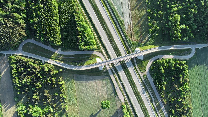 Five Ways Surveyors Can Leverage GIS