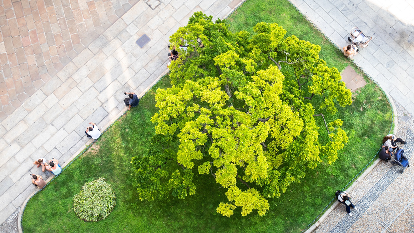 Park Perspective Series: The Planner’s Essential Impact on Parks and Green Spaces