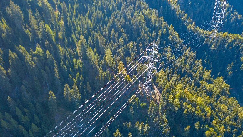 Beyond the Portal: Empowering Aldridge Electric with GIS