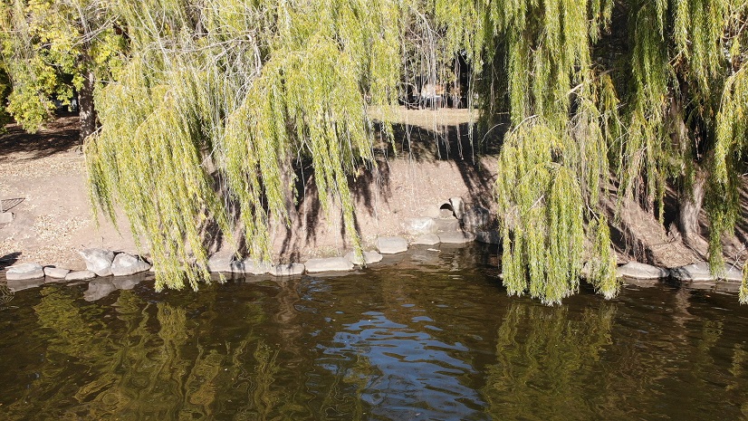 Streamlining Stormwater Outfall Inspections with GIS Solutions