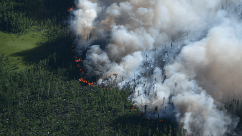 What’s Burning and Where? Essential Apps and Reports for Wildfire Situational Awareness