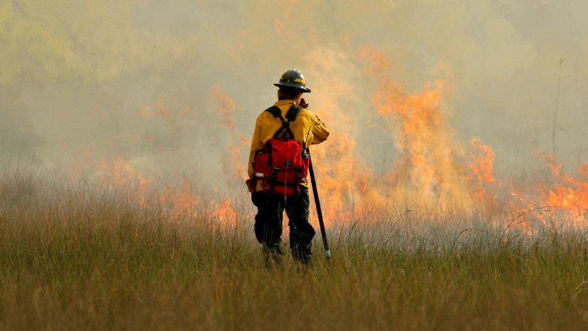 Turning Recommendations into Action: Why the Alliance for Wildfire Resilience’s Legislation Tracker Matters