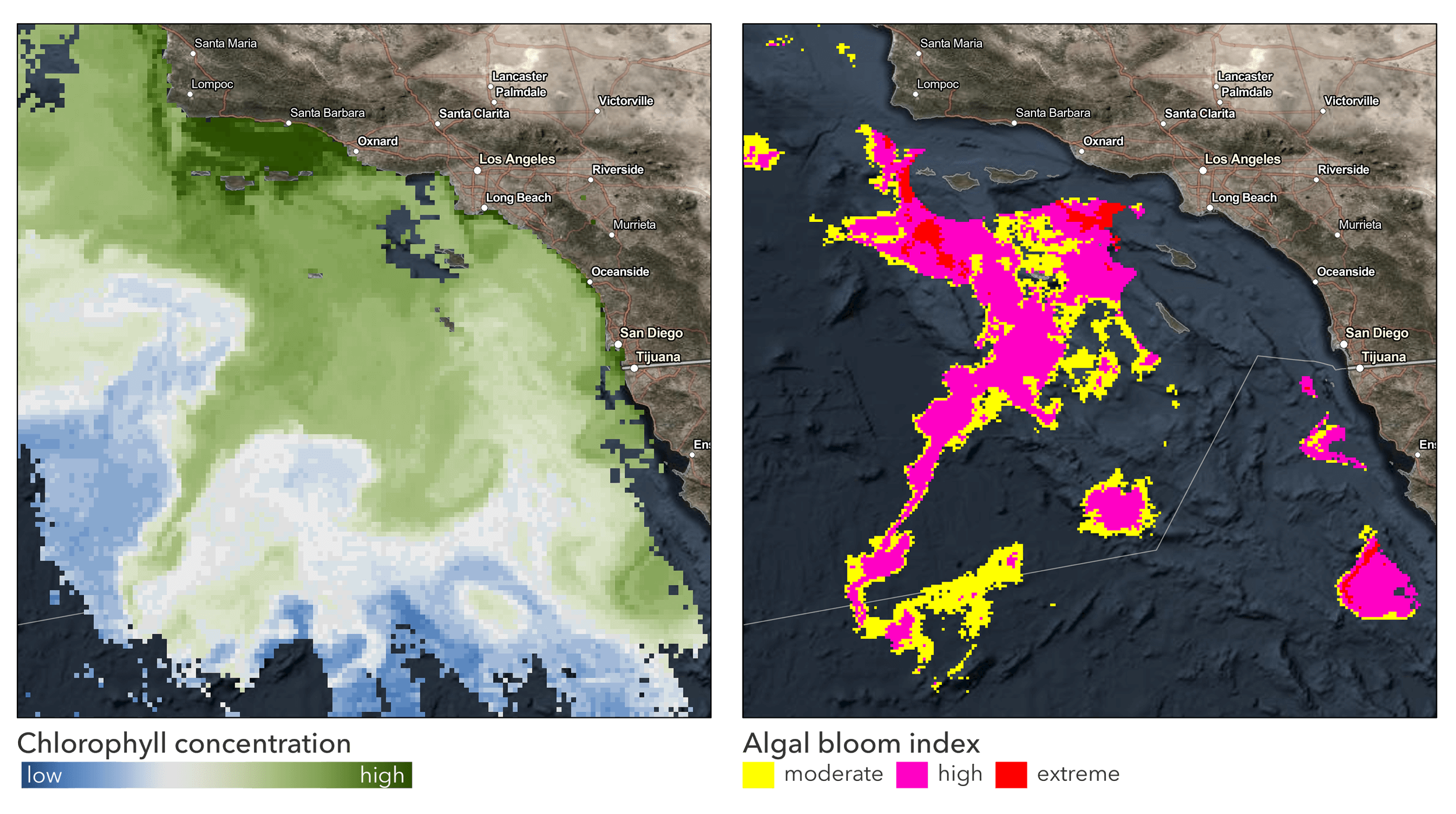 chlorophyll concentrations algal bloom index chlorophyll concentrations algal bloom index