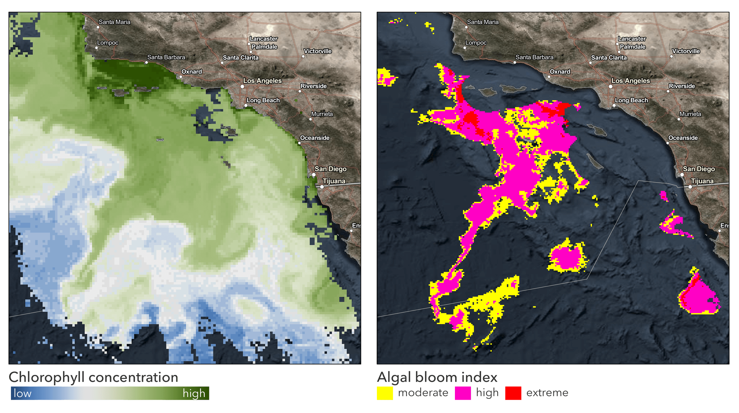 chlorophyll concentrations algal bloom index