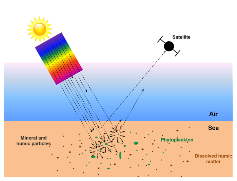 satellite analysis ocean color