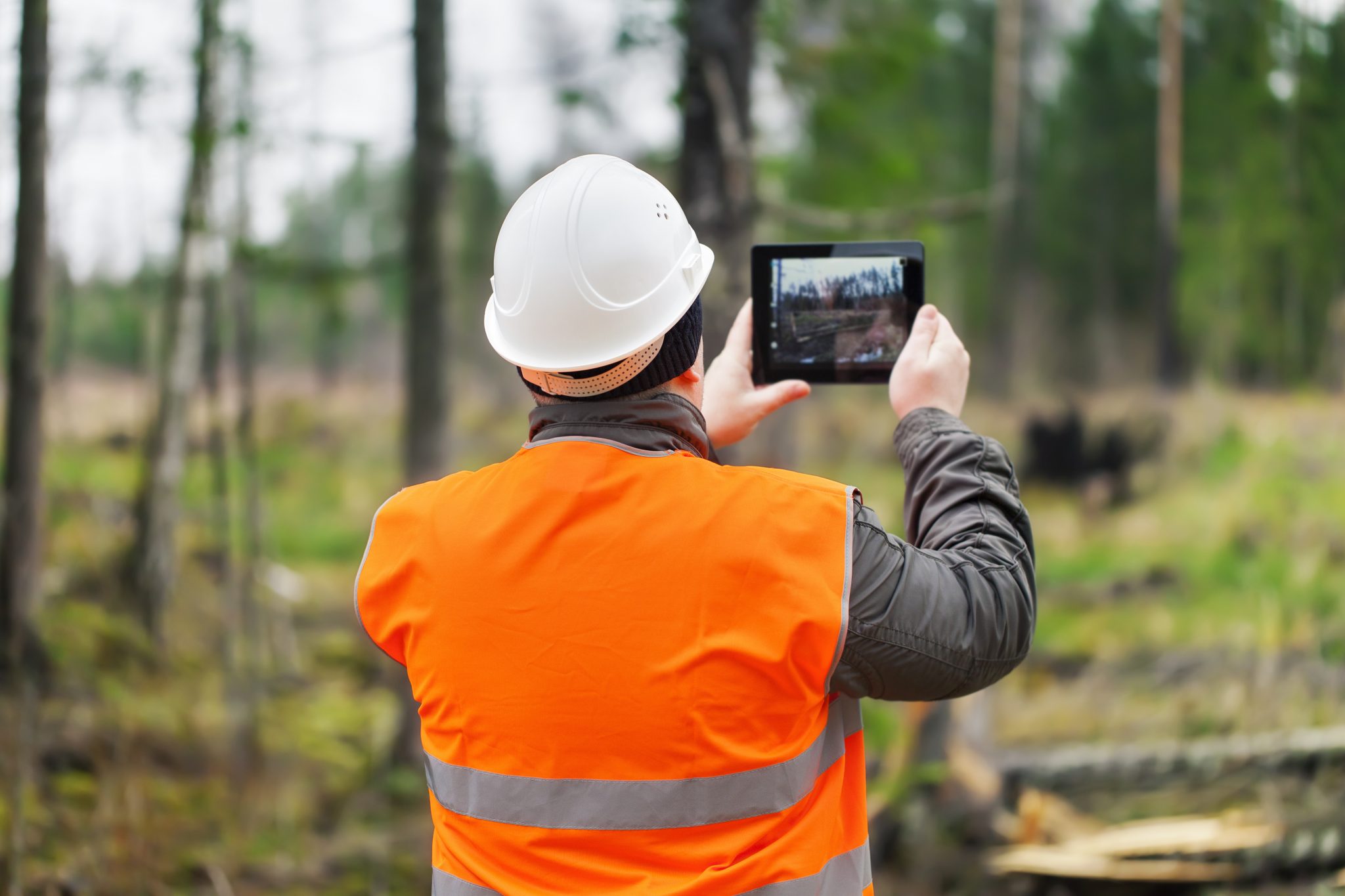 Sharpening the Tools That Transform Utility Arborists' Workflows