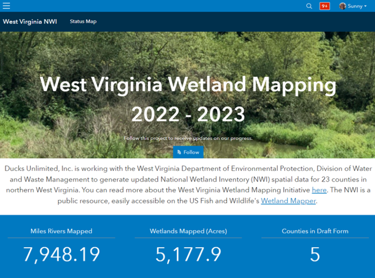 Delineating the Future of Wetlands How States and Local Governments