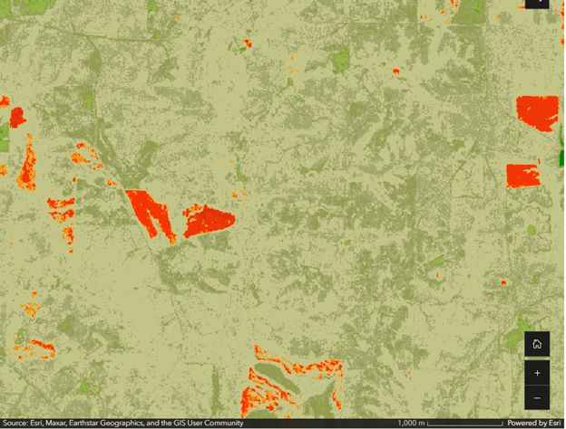 Difference in NDVI values between 2024 and 2025 using Sentinel-2 data that illustrate potential deforestation.