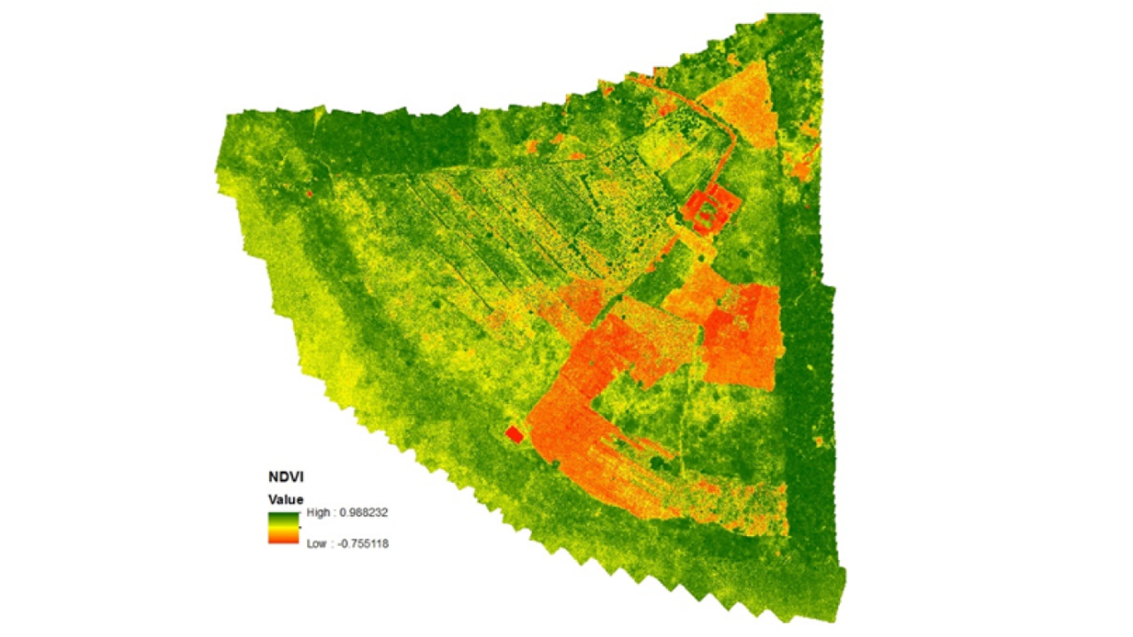 NDVI map of the project area, showing healthy vegetation in green
