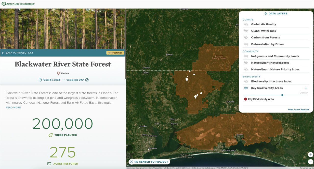 Forest shown on GIS Map