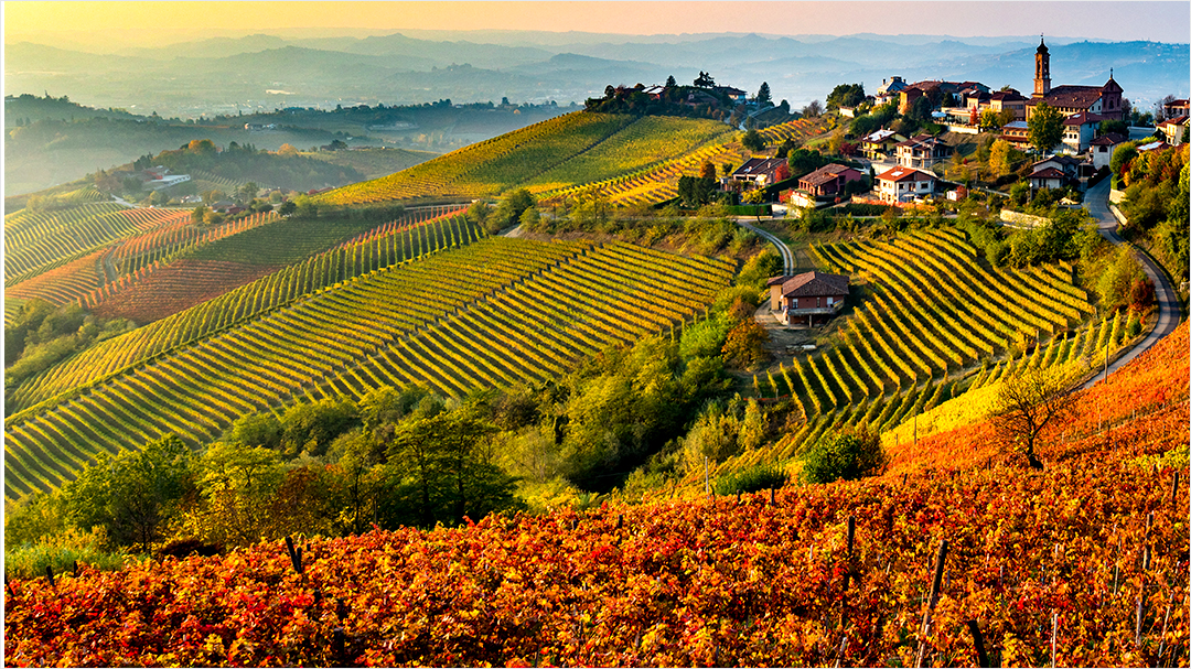 train passing through the Italian countryside 