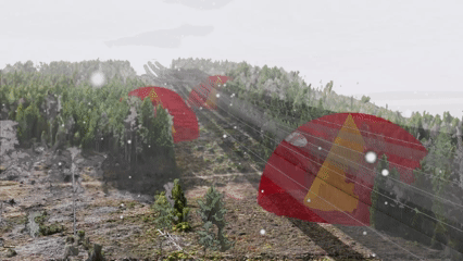 Animering: Risk för fallande träd i ledningsgata 