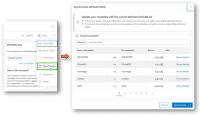 Synchronisierung von Metadaten aus Attributfeldern von der Artikelseite zu standardbasierten Metadaten.