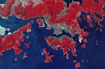 Satellite imagery in HK ArcGIS Pro