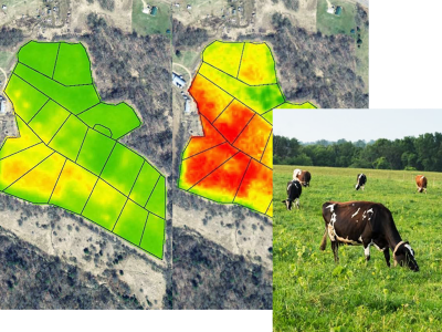 A satellite-derived Normalized Difference Vegetation Index (NDVI) image quantifies vegetation health of cow grazing areas, with the healthiest plants shown in green and ones experiencing stress and disease in red