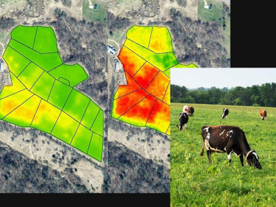 Une image dérivée par satellite de l’indice coloré de végétation par différence normalisée (NDVI) quantifie l’état sanitaire de la végétation des zones de pâturage des vaches, les plantes les plus saines étant indiquées en vert et celles souffrant de stress et de maladie en rouge