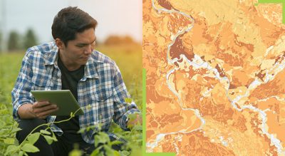 A split screen of a person in a field inspecting leaves and carrying a tablet, and a bright orange and yellow map