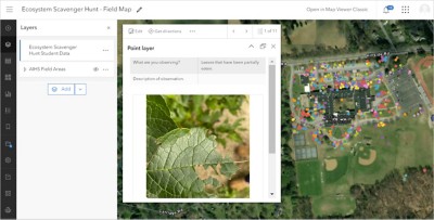 Student field map with color-coded ecosystem data points and a pop-out box showing point layer data of a leaf observation
