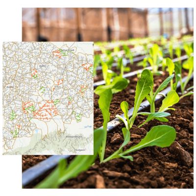 A gray scale map of the world with colored lines connecting various points