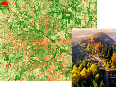 An example of NAIP imagery showing a false-color aerial map of a city, with vegetation in green and developed areas in orange and red