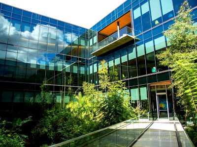 A sleek glass office building surrounded by thick green landscaping