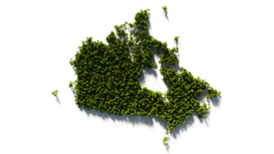 A map of Canada made out of an aerial shot of trees
