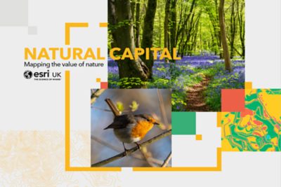 natural-capital-ebook-cover