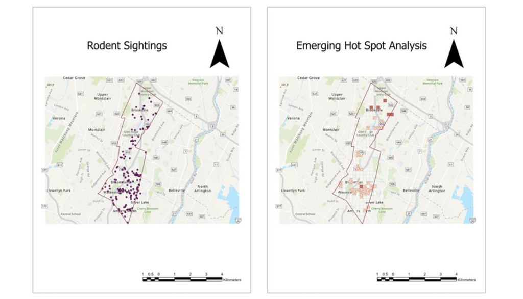 Thematic map with colored dots showing spatial hotspot patterns across Essex 