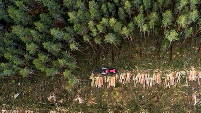 Vue aérienne d’une forêt et de l’exploitation du bois