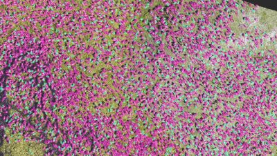 Imagery sensing analysis