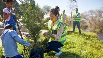 Group of people planting a small tree in a grassy outdoor area