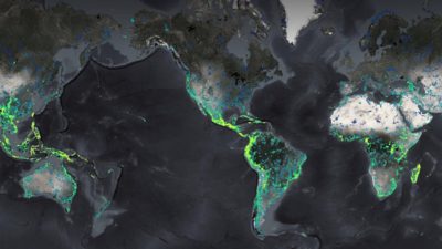 Map with highlighted coastal and land areas indicating concentrated data patterns