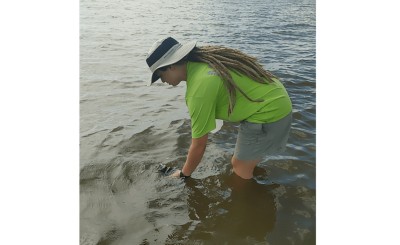 Enhancing Mississippi Beach Water Monitoring Through GIS Technology | MDEQ Beach Water Monitoring