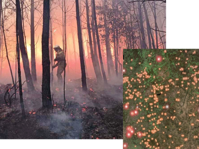 Firefighter moving through a smoke-filled forest during an active wildfire, alongside a map of Portugal dotted with live fire locations