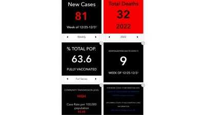 Otsego County COVID-19 dashboard mobile version