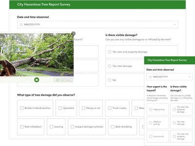 A screencap of a digital survey for reporting hazardous trees within a city