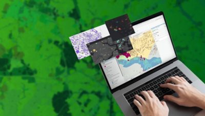 Datos en un solo lugar, listos para analizar
